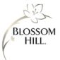 brand-logo